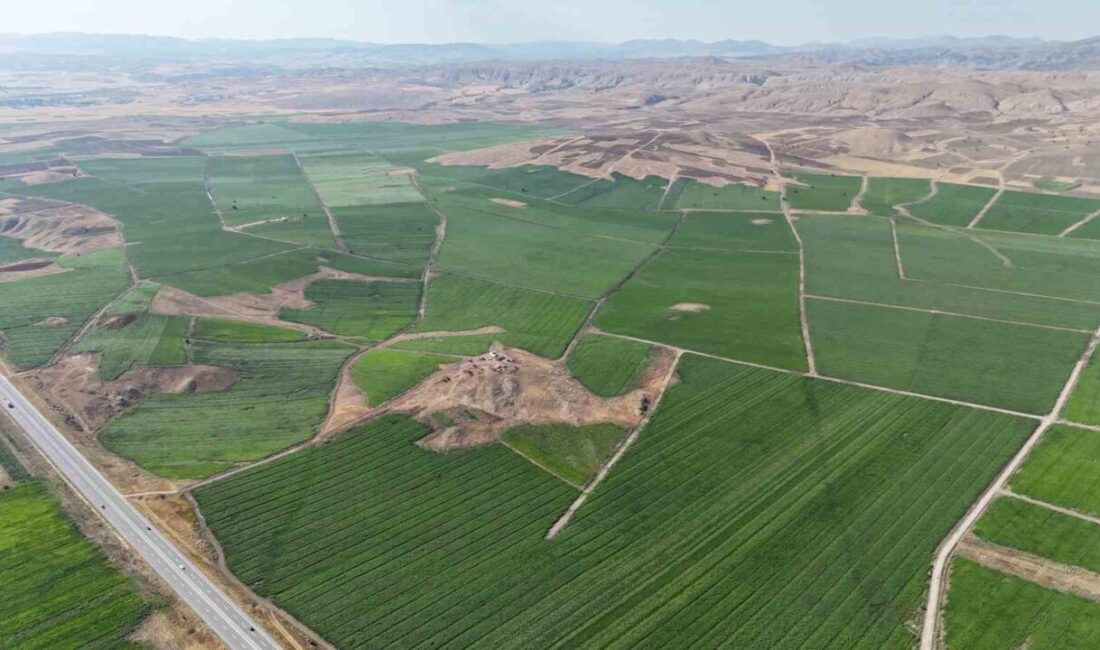 Sofraların vazgeçilmezi olan patatesler, ilkbahar aylarında toprakla buluştu. Bozkır olarak