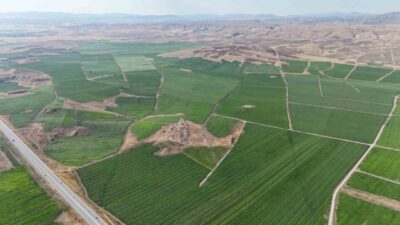 Sofraların vazgeçilmezi olan patatesler, ilkbahar aylarında toprakla buluştu. Bozkır olarak