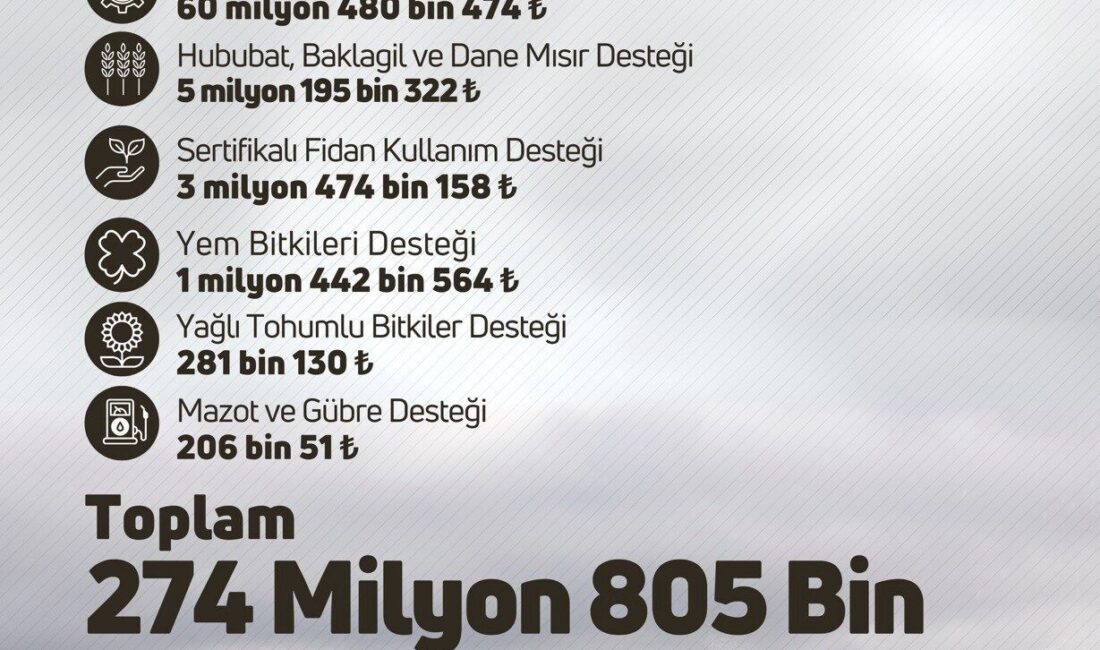 Tarım ve Orman Bakanı İbrahim Yumaklı, çiftçilere 274 milyon 805