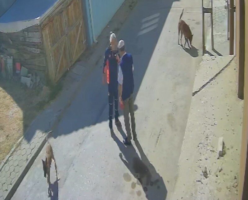 Eskişehir’de köpeklerini şikayet ettiğini düşündüğü yaşlı adamı darbeden şahıs gözaltına