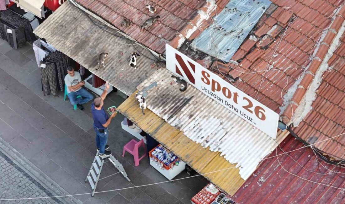 Eskişehir’de esnaflık yapan Mesut Turan, her gün merdivene çıkıp çatıda