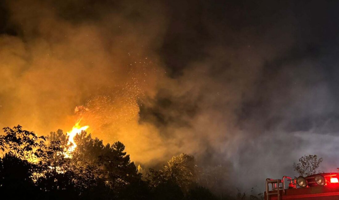 İstanbul’un Beykoz ilçesinde gece saatlerinde ormanlık alanda çıkan yangın, ekiplerin