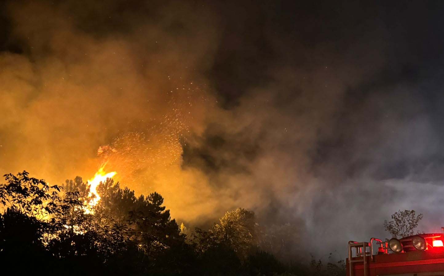 İstanbul’un Beykoz ilçesinde gece saatlerinde ormanlık alanda çıkan yangın, ekiplerin