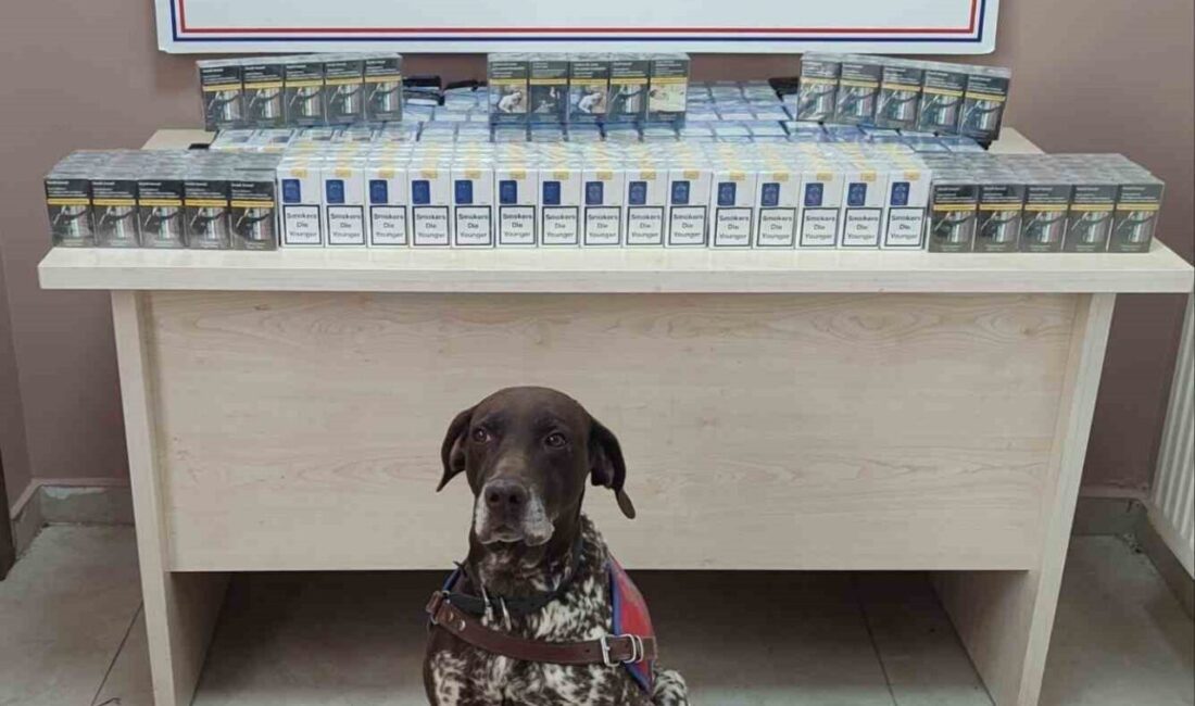 Kayseri İl Jandarma Komutanlığı ekiplerince yapılan çalışmalarda; 640 adet bandrolsüz