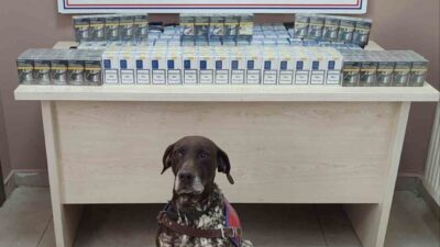 Kayseri İl Jandarma Komutanlığı ekiplerince yapılan çalışmalarda; 640 adet bandrolsüz