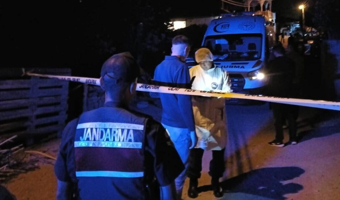 Kırşehir’in Akpınar ilçesine bağlı Aşağıhomurlu köyünde, aile içi husumet nedeniyle