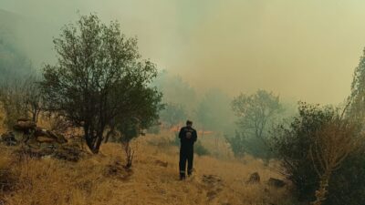 Konya’nın Hüyük ilçesinde otluk alanda çıkan yangın, ormana sıçramadan söndürüldü.