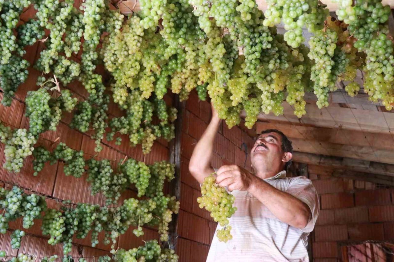 Toroslar’ın dik yamaçlarındaki Konya’nın Hadim ilçesinde üretilen "gök üzüm", evlerin