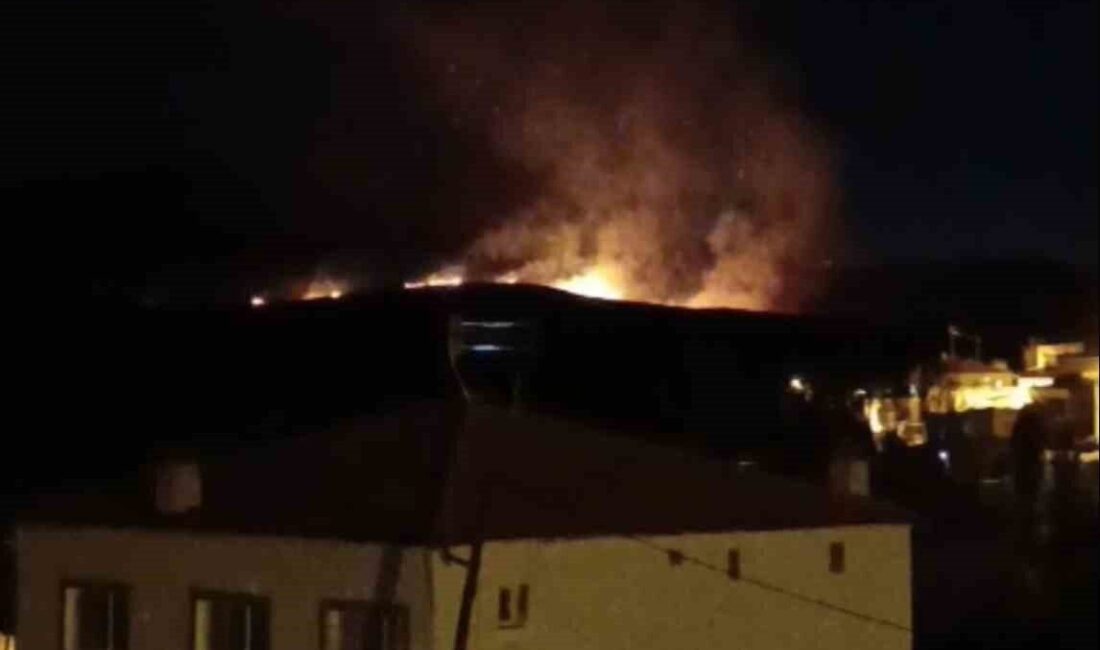 Niğde’nin Elmalı kasabasında dağda çobanların yaktığı ateş kontrolden çıkarak yangına
