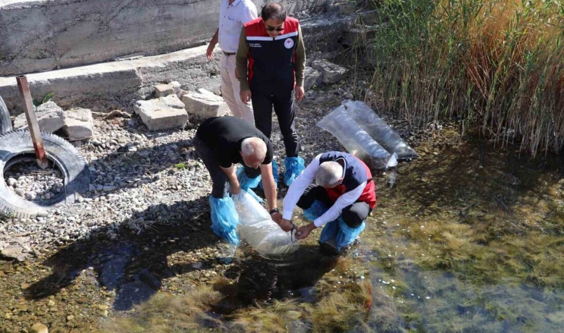 Sivas’ta bulunan 31 göl ve gölete, 1 milyon 268 bin