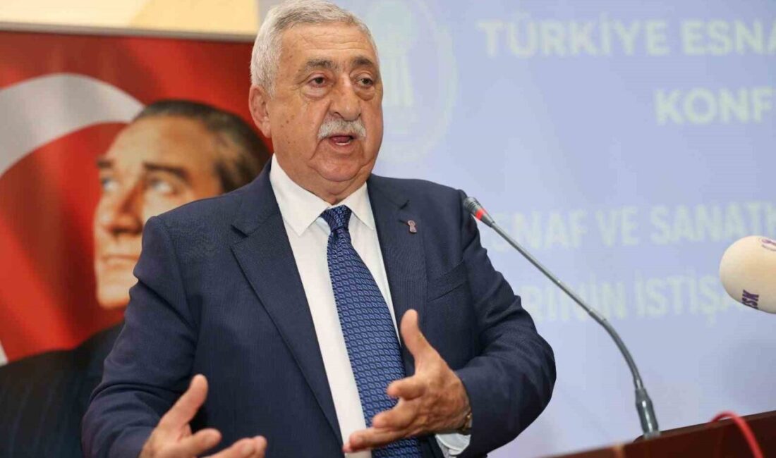 Türkiye Esnaf ve Sanatkârları Konfederasyonu (TESK) Başkanı Bendevi Palandöken, "30
