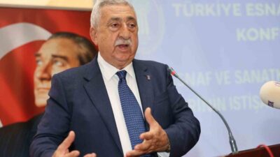Türkiye Esnaf ve Sanatkârları Konfederasyonu (TESK) Başkanı Bendevi Palandöken, "30