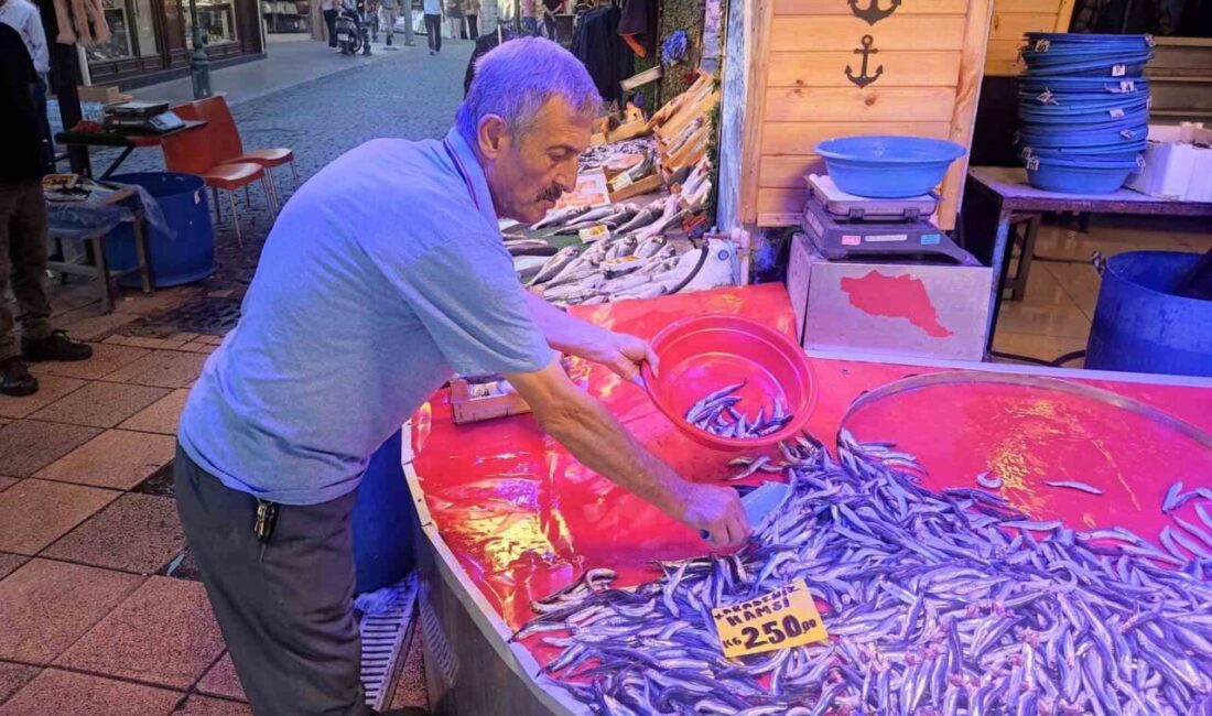 Yeni av sezonunun başlamasıyla birlikte Eskişehir balık pazarı hareketlenirken, balıkçı