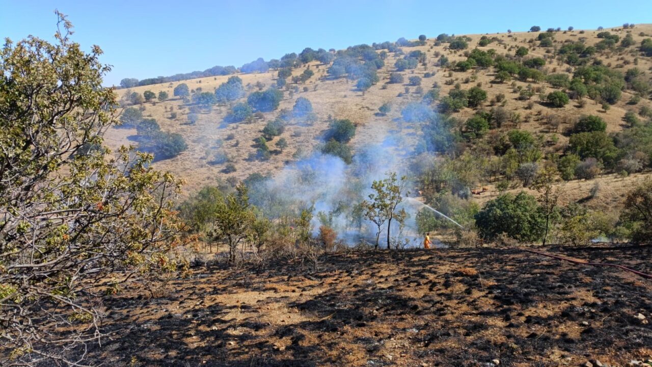 Yozgat’ta makilik alanda çıkan yangın 15 dönem alanda etkili oldu.