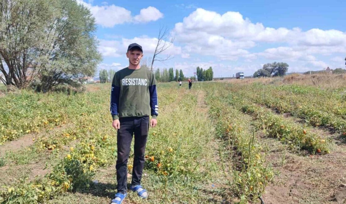 Yozgat’ın Sorgun ilçesinde ikamet eden üniversite öğrencisi, hem ailesine destek