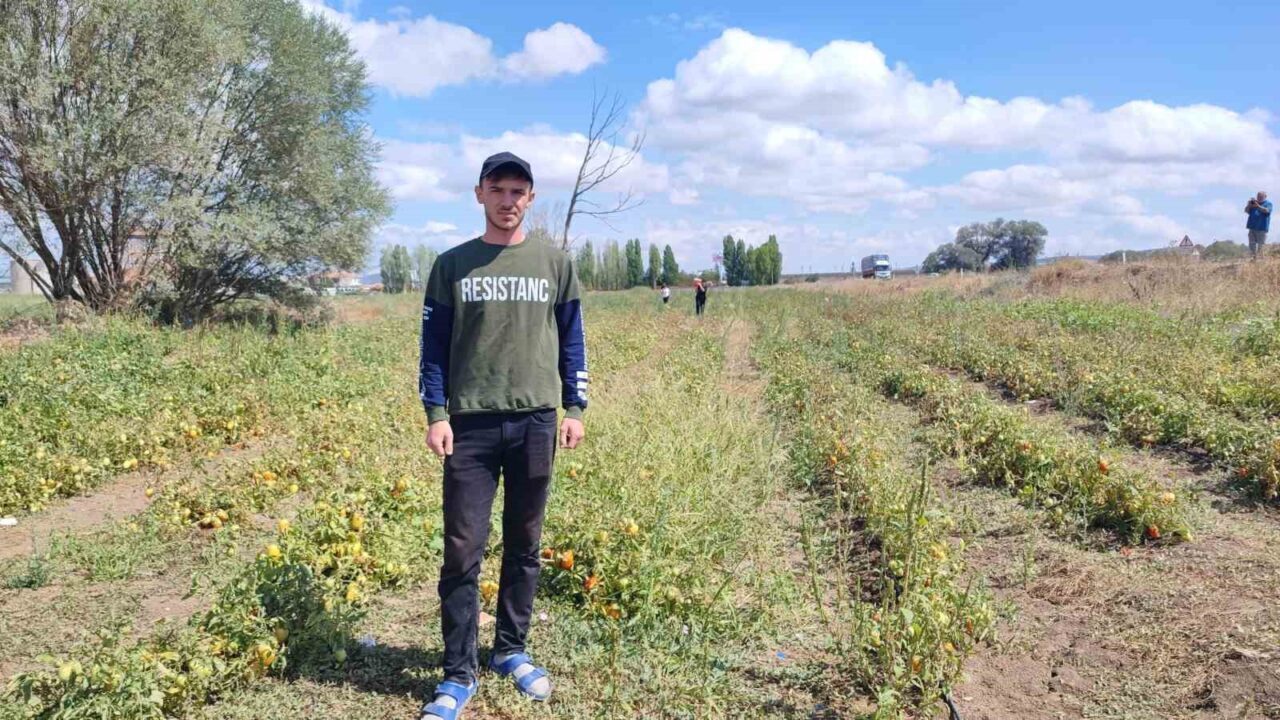 Yozgat’ın Sorgun ilçesinde ikamet eden üniversite öğrencisi, hem ailesine destek