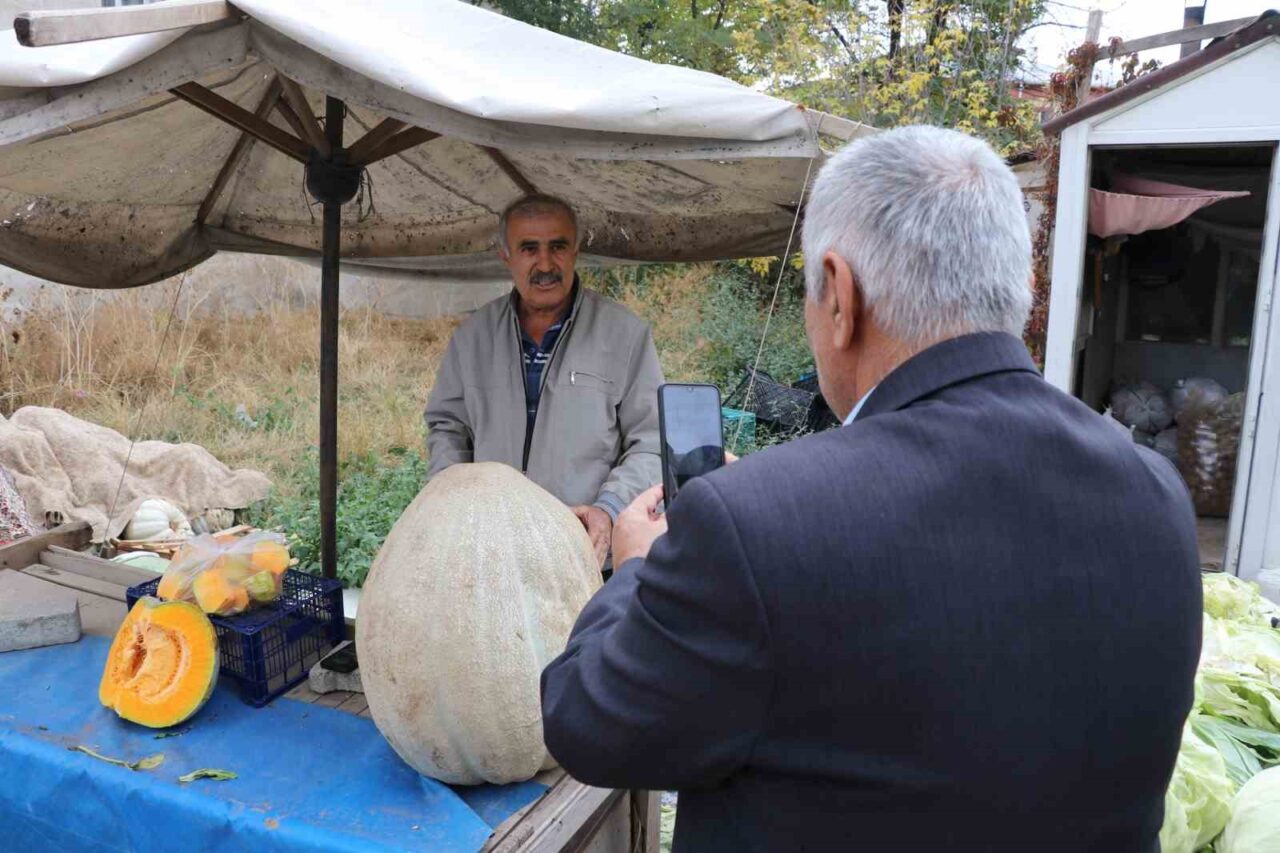 Sivas’ta bir çiftçinin ata tohumundan yetiştirdiği 51 kilogramlık dev bal