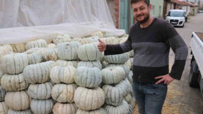 Ülke çapında bilinen Eskişehir’in ünlü balkabağının hasadı başlarken, tatlısı yapılan