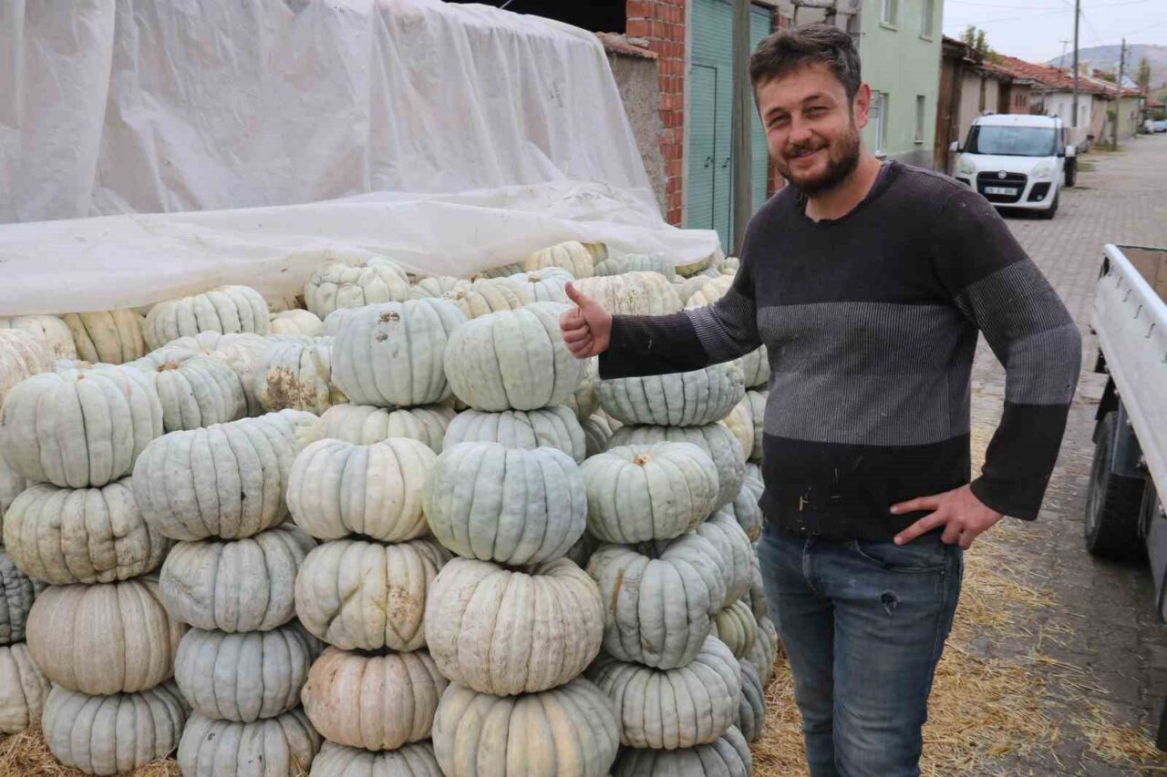 Ülke çapında bilinen Eskişehir’in ünlü balkabağının hasadı başlarken, tatlısı yapılan