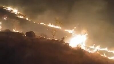 Konya’nın Emirgazi ilçesinde meralık alanda çıkan yangın itfaiye tarafından söndürüldü.