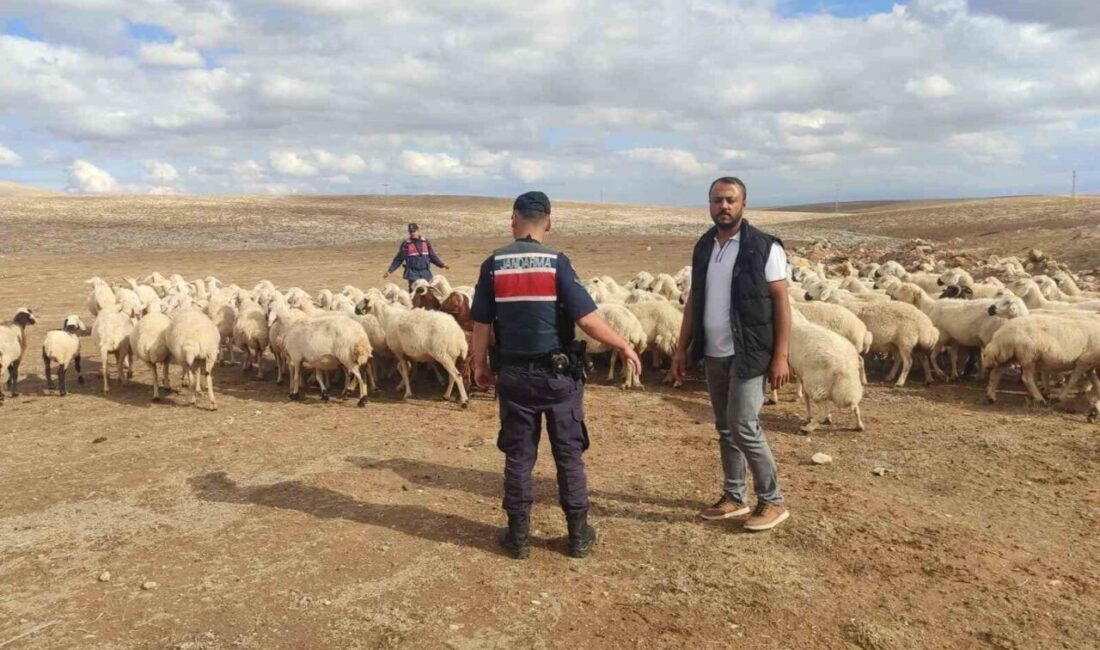 Konya’nın Ilgın ilçesinde kaybolan 93 küçükbaş hayvan, jandarma ekiplerinin dron