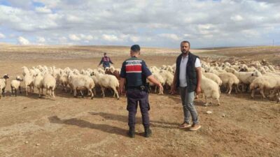 Konya’nın Ilgın ilçesinde kaybolan 93 küçükbaş hayvan, jandarma ekiplerinin dron