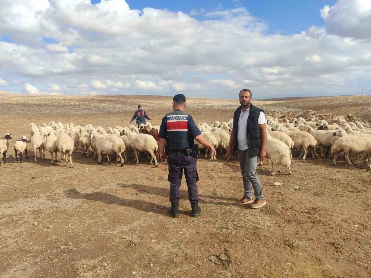 Konya’nın Ilgın ilçesinde kaybolan 93 küçükbaş hayvan, jandarma ekiplerinin dron
