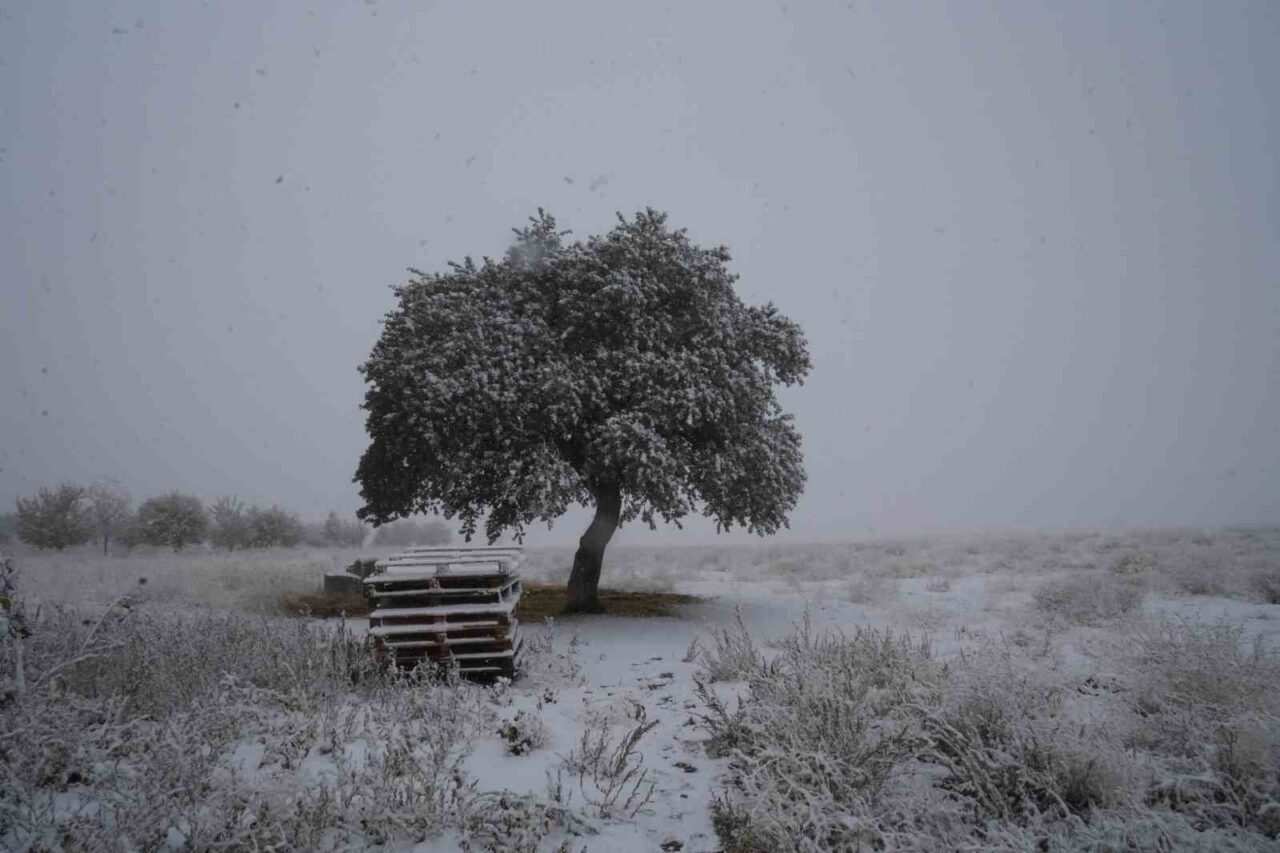 Niğde’nin yüksek kesimlerine mevsimin ilk karı yağdı.