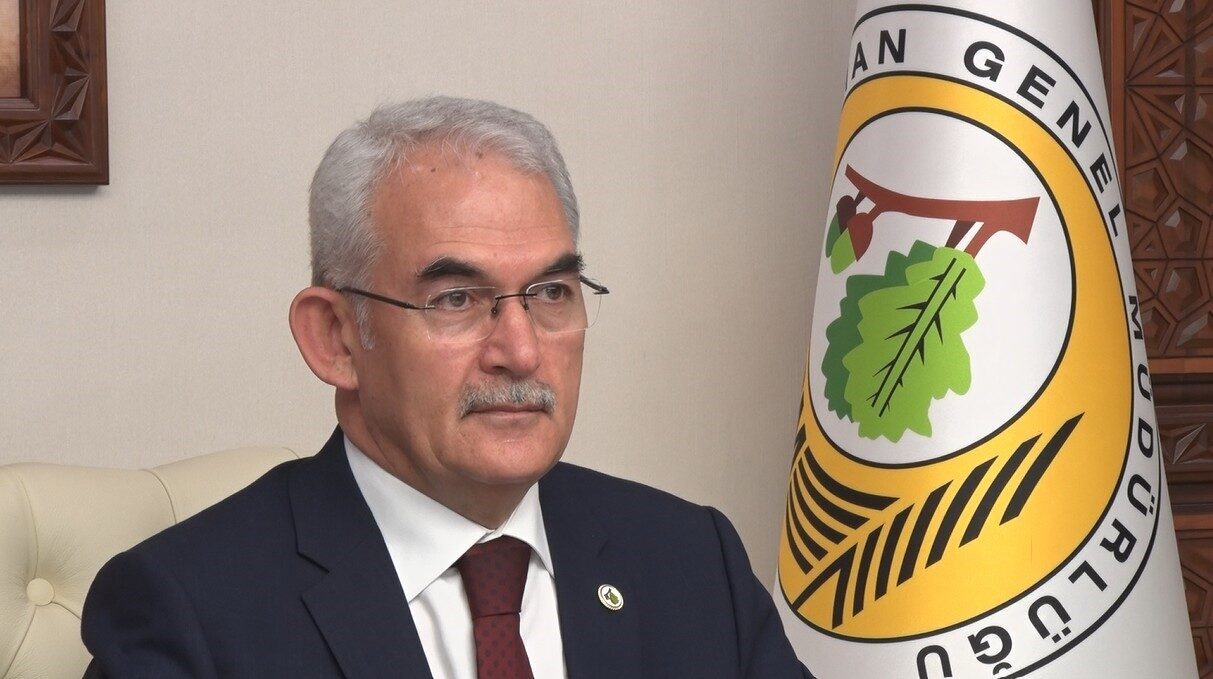 İstanbul Orman İnovasyon Haftası (IFIW), 20-25 Ekim tarihlerinde birçok ülkenin