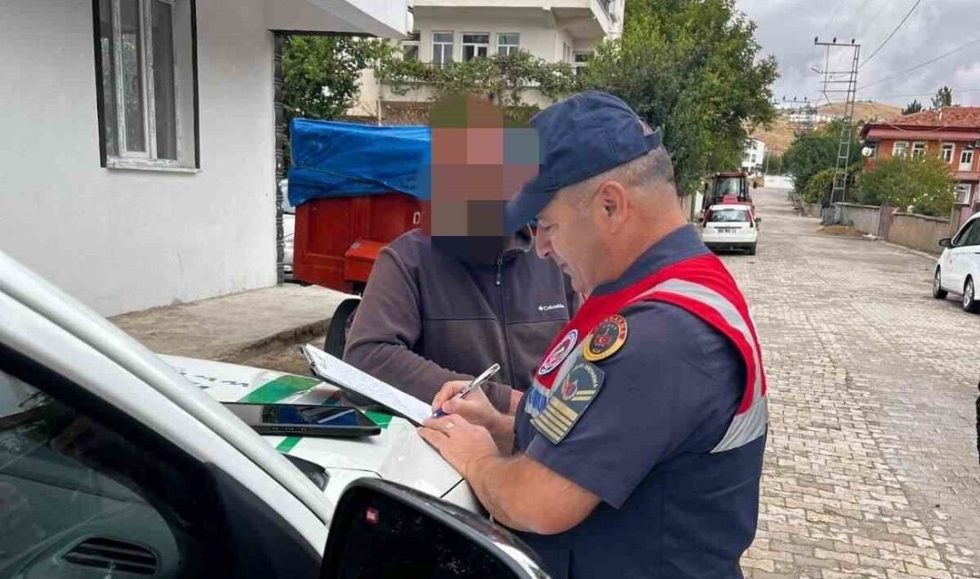 Yozgat’ın Şefaatli ilçesinde yasaklı ırklar arasında olan Pitbull cinsi köpek