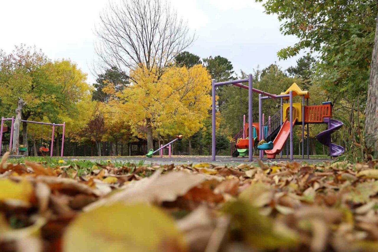 Sivas’ta yaz aylarında on binlerce kişiyi ağırlayan Paşabahçe Mesire Alanı,