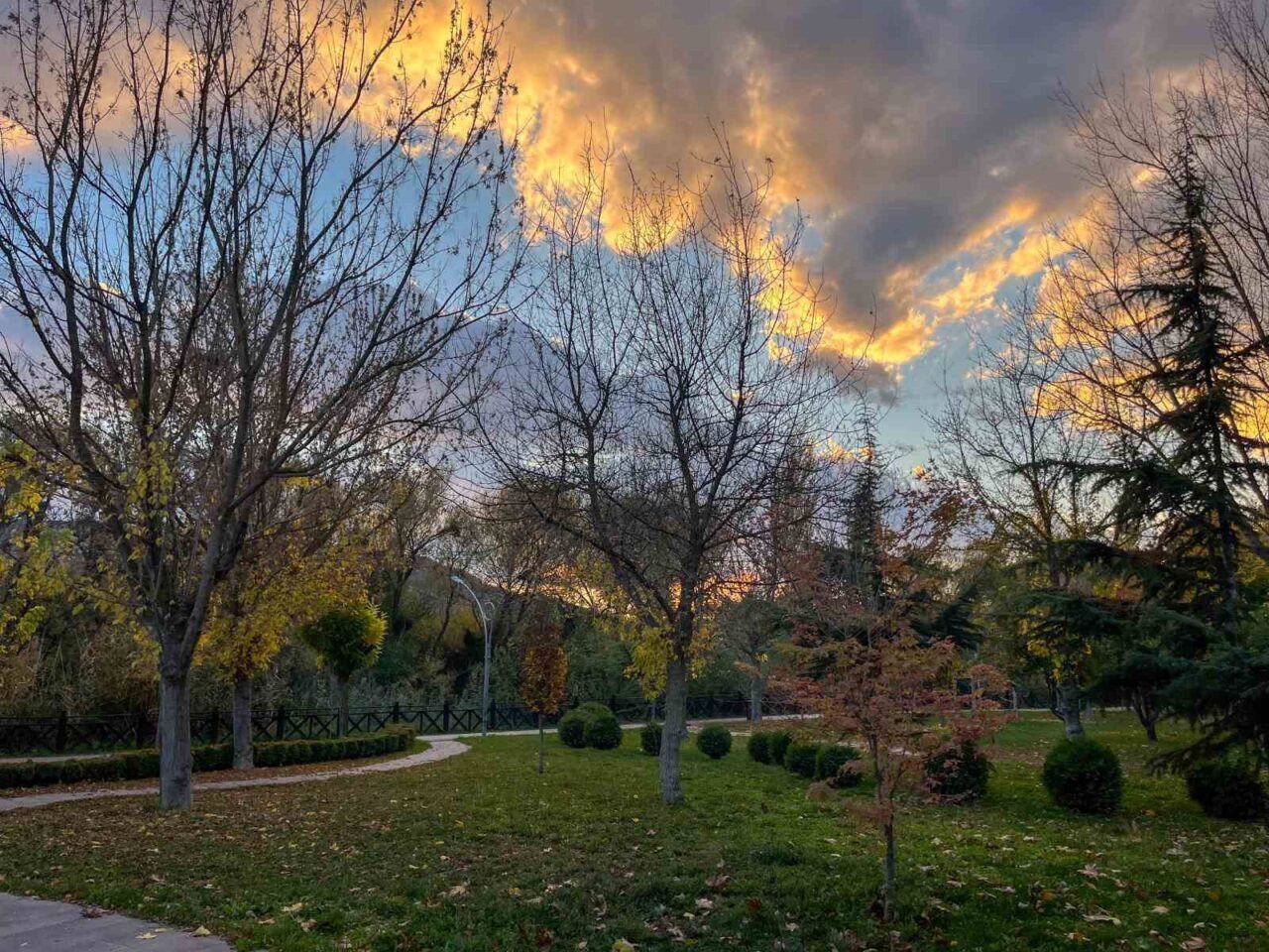 Eskişehir’de sonbahar mevsiminin gelmesiyle birlikte sararan yaprakların oluşturduğu masal gibi
