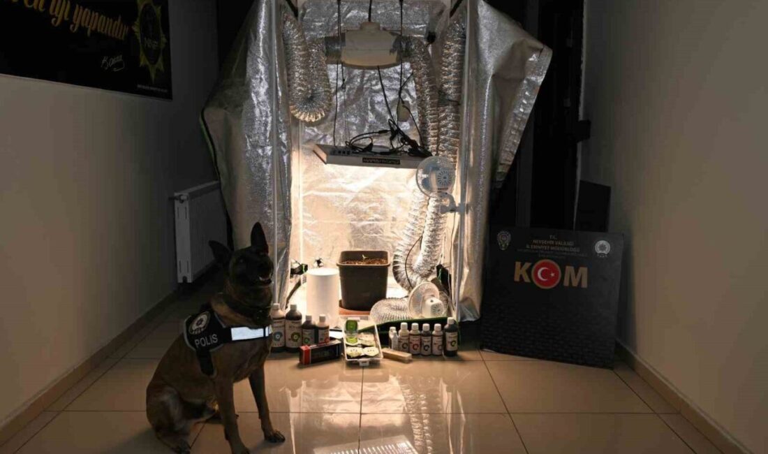 Nevşehir’de rüşvet ve usulsüzlük operasyonunda 5’i Nevşehir Devlet Hastanesinde bilişim