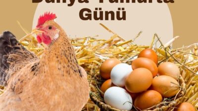 Türk Veteriner Hekimleri Birliği (TVHB) Merkez Konseyi Başkanı Ali Eroğlu,