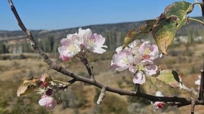 Konya’nın farklı yerlerinde yağmur ve kar yağışının beklendiği bugünlerde Bozkır
