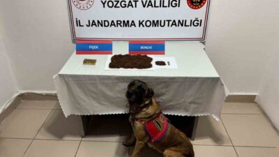 Yozgat’ta Jandarma ekiplerinin yaptığı çalışmalarda, durdurdukları şüpheli şahsın aracında bonzai