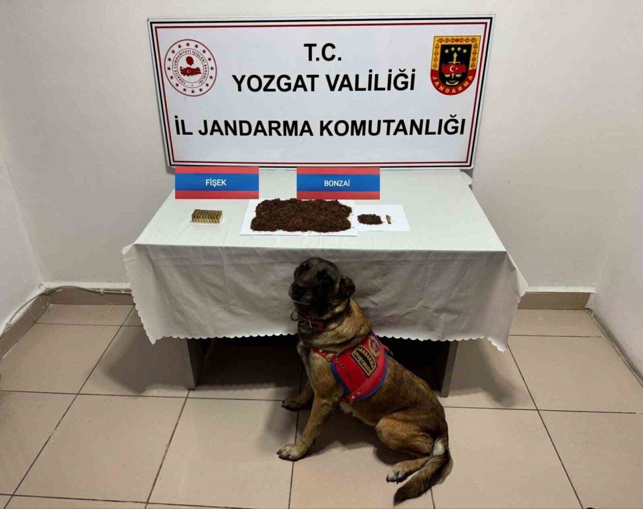 Yozgat’ta Jandarma ekiplerinin yaptığı çalışmalarda, durdurdukları şüpheli şahsın aracında bonzai