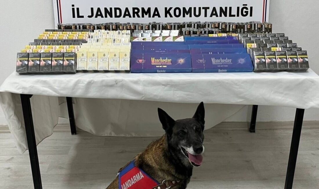 Kayseri’de jandarma ekipleri tarafından yapılan çalışmalarda; 500 paket kaçak sigara