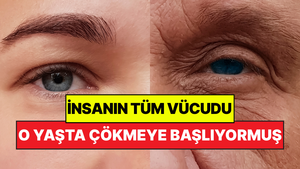 İsveç’te yürütülen ve yaklaşık yarım asrı geride bırakan kapsamlı bir
