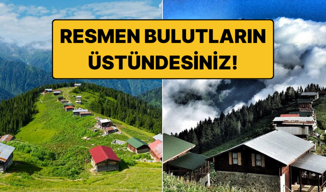 Karadeniz'in sisli dağlarında 1.500 ila 2.500 metre yüksekliklerde uzanan yayla