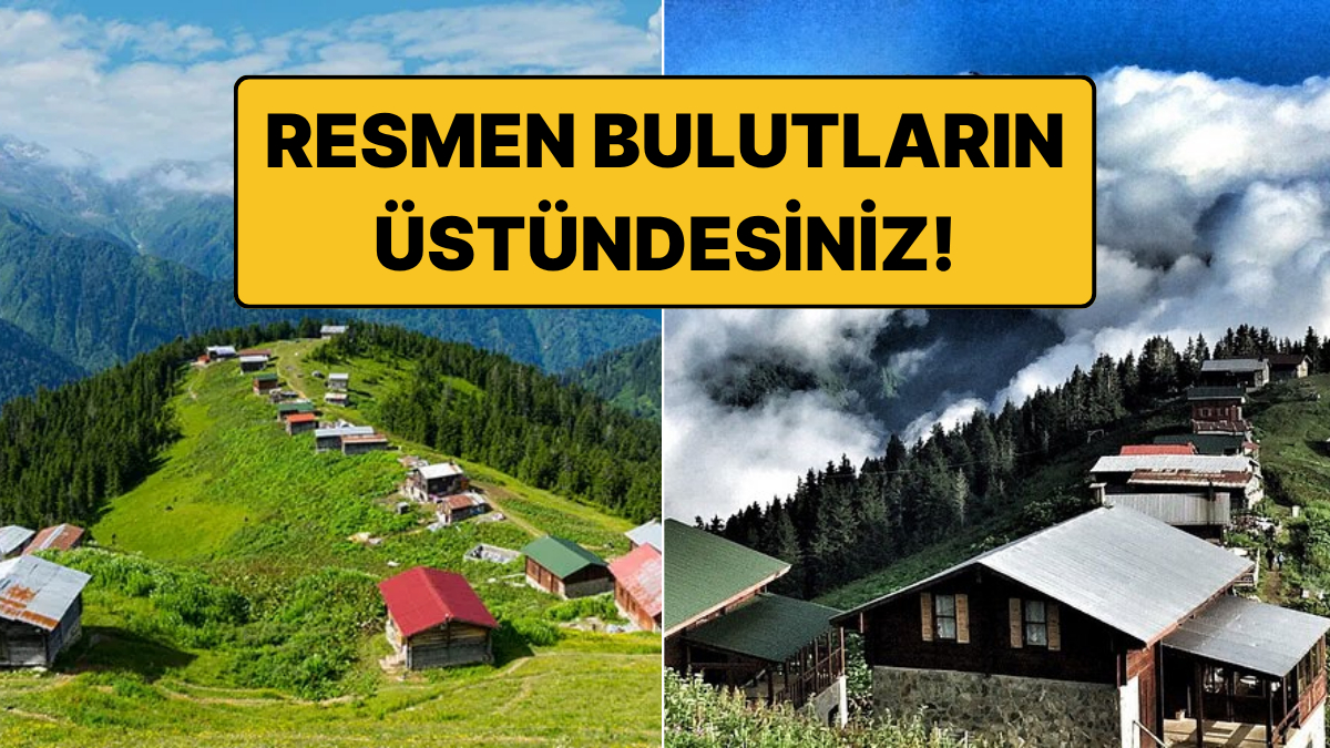 Karadeniz'in sisli dağlarında 1.500 ila 2.500 metre yüksekliklerde uzanan yayla