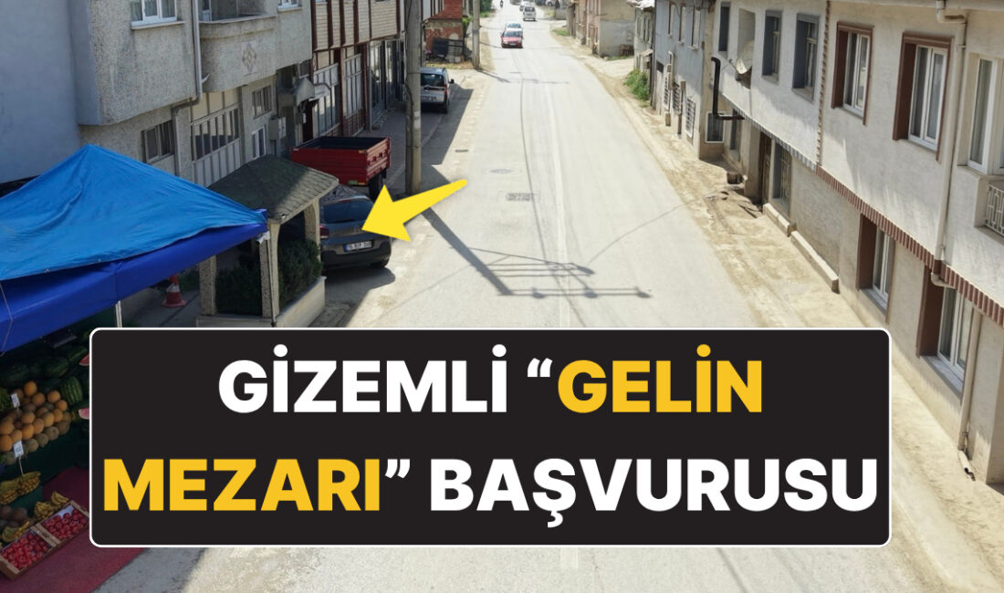 Bursa’nın İnegöl ilçesindeki kırsal Çeltikçi Mahallesi'nde, evlerin arasında yol kenarında