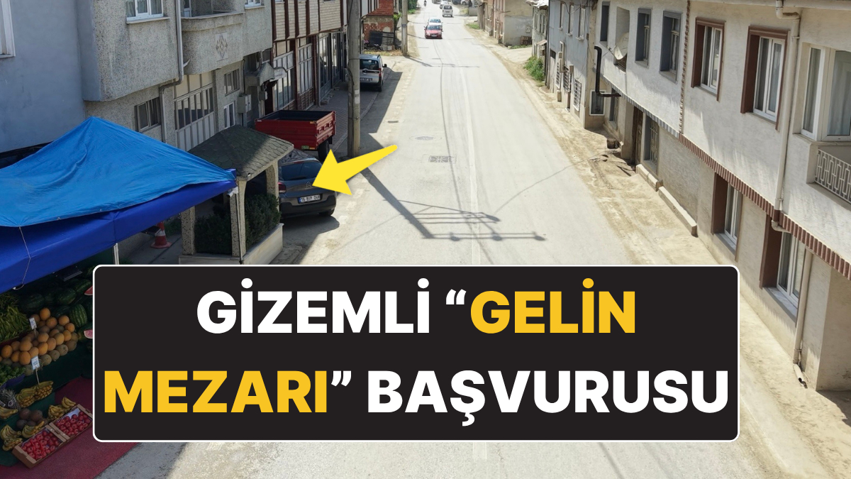 Bursa’nın İnegöl ilçesindeki kırsal Çeltikçi Mahallesi'nde, evlerin arasında yol kenarında