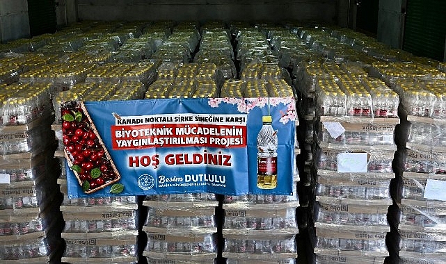 Manisa Büyükşehir Belediyesi, kiraz üretiminde büyük zarara yol açan ‘Kanadı