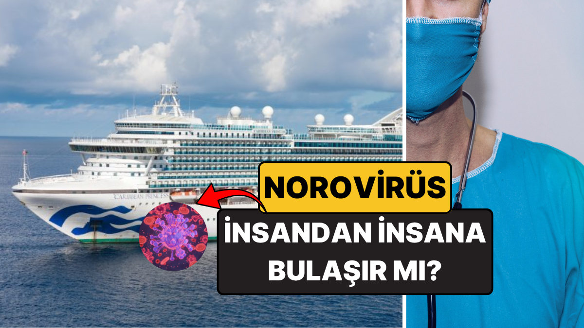 Tüm dünyada yılın belirli dönemlerinde hızla yayılan ve halk arasında