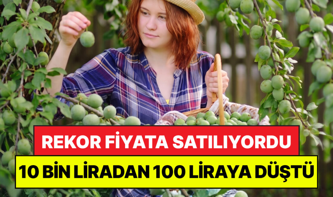 Türkiye’nin yaş sebze ve meyve üretiminde stratejik bir öneme sahip