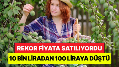 Türkiye’nin yaş sebze ve meyve üretiminde stratejik bir öneme sahip