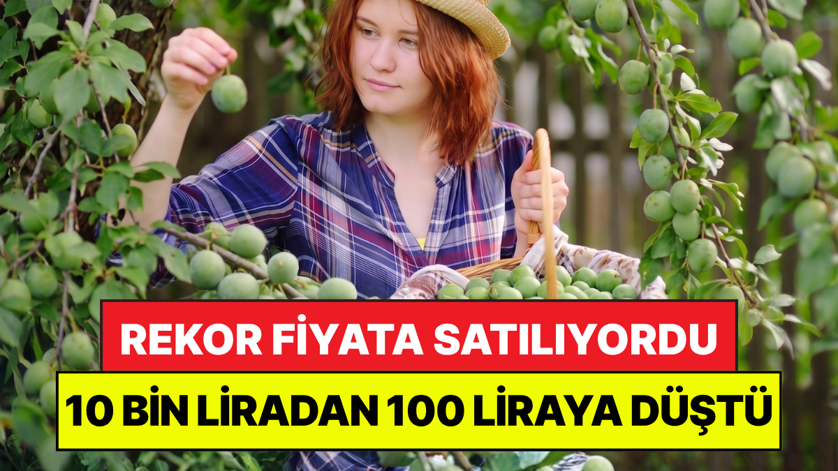 Türkiye’nin yaş sebze ve meyve üretiminde stratejik bir öneme sahip