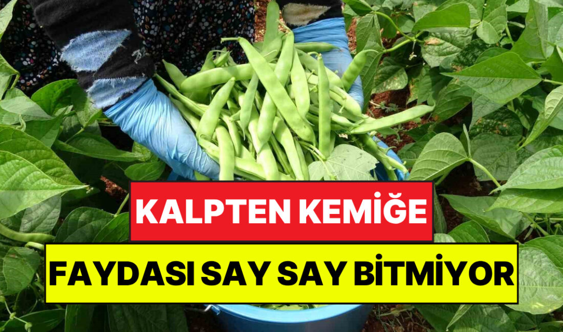 Türkiye’nin yaş sebze ve meyve üretim merkezleri arasında ilk sıralarda