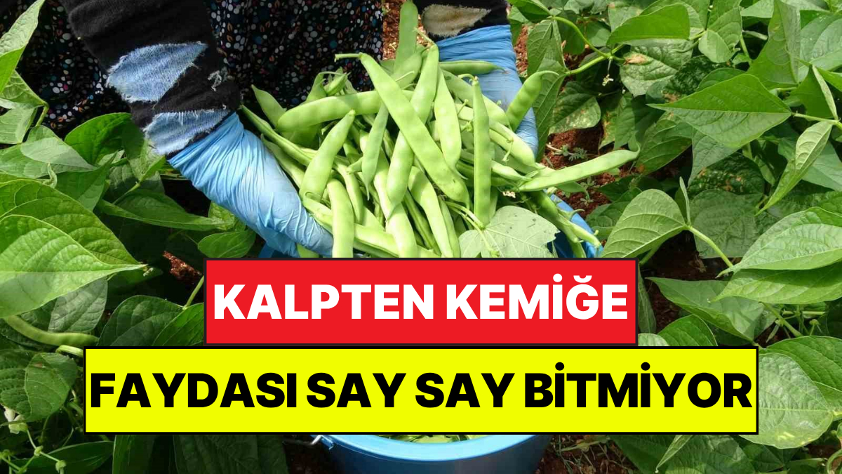 Türkiye’nin yaş sebze ve meyve üretim merkezleri arasında ilk sıralarda